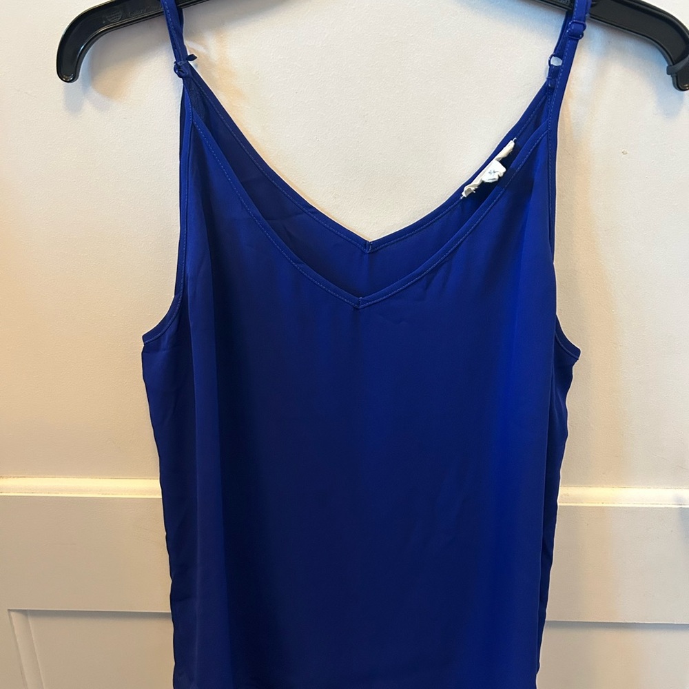 Sandy and Sid  Royal Blue V-Neck tank